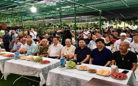 Tọa đàm bàn giải pháp phát triển ngành hoa lan tương xứng với tiềm năng thế mạnh của Việt Nam